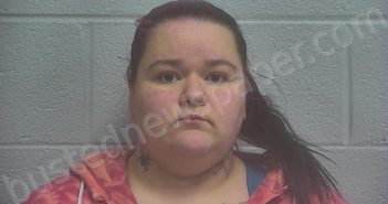 <B>MCADAMS</B>, <B>MADISON</B> <B>NICOLE</B> #, Marshall County, Tennessee - 2025-02-14 19:35:00
