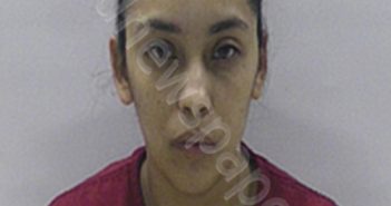<B>GONZALEZ</B> <B>SAMANTHA</B> <B>LEE</B> #, Cameron County, Texas - 2025-02-14