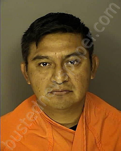 MENDEZ, MARTIN RAMIREZ #, Horry County, South Carolina - 2025-02-14 08:57:00