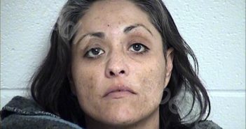 MOLINA LOZOYA, ELVIRA JANETH | 2025-02-16 Chase County, Kansas Booking