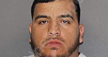 CORTES LUCIO, MARIO FRANCISCO | 2025-02-16 00:43:06 Ellis County, Texas Booking