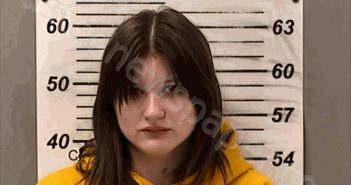 NAUGLE, JULIANNA KADENCE | 2025-02-16 15:02:00 Fulton County, Ohio Booking