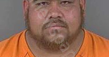 PALOMORAMIREZ,JORGE DANIEL | 2025-02-17 Collier County, Florida Booking
