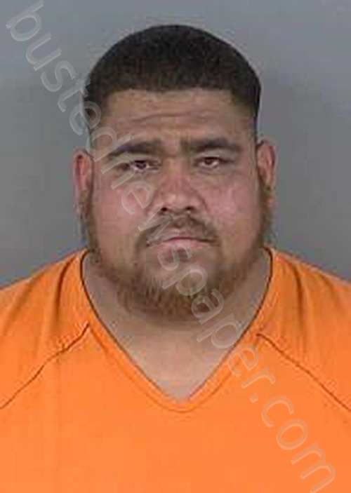 PALOMORAMIREZ,JORGE DANIEL #, Collier County, Florida - 2025-02-17