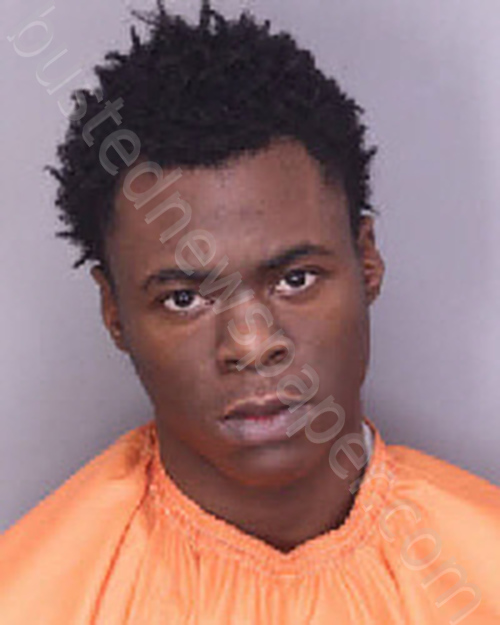 SUTTON, JOSHUA ARRINGTON #, Florence County, South Carolina - 2025-02-17 20:53:00