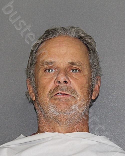 NASH, ROBERT EUGENE, JR #, Ellis County, Texas - 2025-02-17 14:20:59