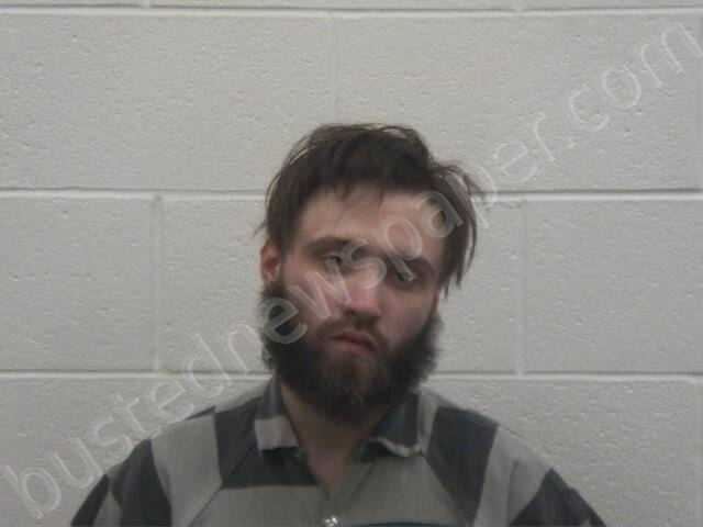 NICHOLSON, WILLIAM TYLER #, Loudon County, Tennessee - 2025-02-18 16:30:00