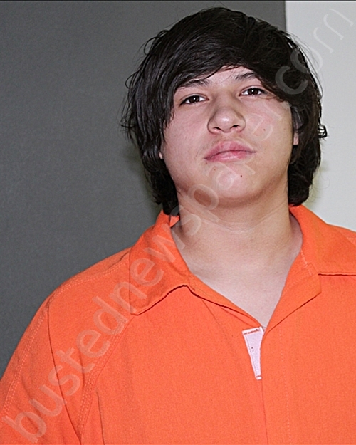 ORNELAS, NOAH ALEXANDER #, Cochran County, Texas - 2025-02-18