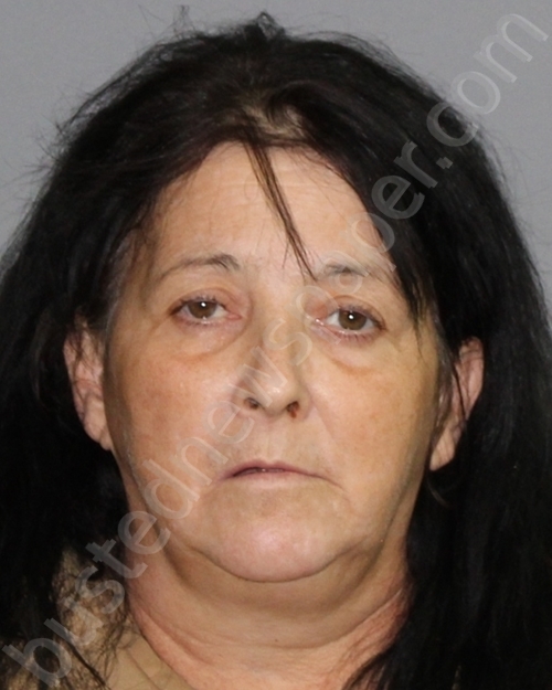 Garrett,rachel Dawn 20250218 Palo Pinto County, Texas Booking