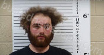 SEAGERT, RONNIE LEE | 2025-02-18 19:11:00 Cherokee County, North Carolina Booking