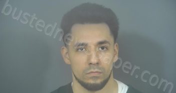 <B>ALVAREZ</B>–<B>REYES</B>, <B>DANIEL</B> NM #, St. Joseph County, Indiana - 2025-02-18 16:55:00