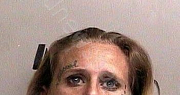 MCCLELLAN, STACY MARIE | 2025-02-18 16:03:00 Taylor County, Florida Booking