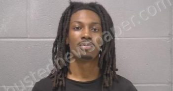 EALY, DANIELE M | 2025-02-19 19:53:00 Will County, Illinois Booking