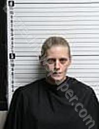 MEADOWS, JESSICA MICHELLE #, Brunswick County, North Carolina - 2025-02-19