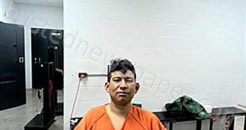 LOPEZ, AFRADO | 2025-02-19 19:36:00 Fulton County, Arkansas Booking