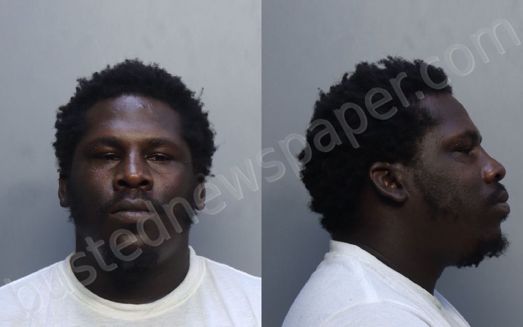 MCCRAY, DAVION JAMAR #, Miami-Dade County, Florida - 2025-02-19 19:51:00