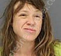 NOWAK-CLOPPER, JEANIE MARIE | 2025-02-19 Medina County, Ohio Booking