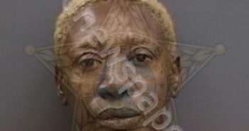 <B>JONES</B>–<B>BROWN</B>,<B>ANEISSA</B> #, Hillsborough County, Florida - 2025-02-19 21:26:00