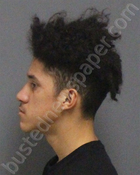 Flores, Christian 20250219 Guilford County, North Carolina Booking
