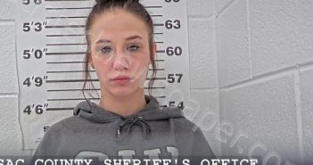 ANDERSON, FAITH M | 2025-02-19 01:45:12 Massac County, Illinois Booking