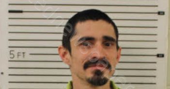 HERNANDEZ, JOSHUA MIGUEL | 2025-02-19 12:26:00 Madison County, North Carolina Booking