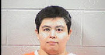 VARGAS-DURAN, ANAYELI JULIETA | 2025-02-20 16:30:00 Transylvania County, North Carolina Booking