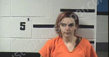 CLONCH, BROOKE TIFFANI | 2025-02-20 16:30:00 Transylvania County, North Carolina Booking