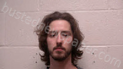 PAYNE, JAMES BRANDON #, Robertson County, Tennessee - 2025-02-20 22:36:00
