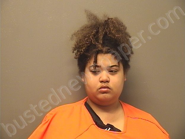 ROBINSON,IRIS JENAE #, Garland County, Arkansas - 2025-02-20 22:31:00