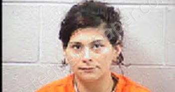 BROWN, ANGEL MARIE | 2025-02-20 16:30:00 Transylvania County, North Carolina Booking