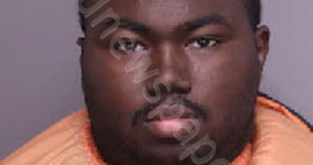 <B>ROBINSON</B>, <B>BRANDON</B> OCTAVIAN #, Florence County, South Carolina - 2025-02-20 18:25:00