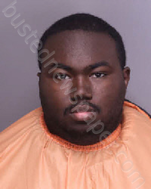 ROBINSON, BRANDON OCTAVIAN #, Florence County, South Carolina - 2025-02-20 18:25:00