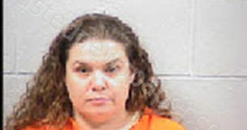 DAVIS, ASHLEY NICOLE | 2025-02-20 16:30:00 Transylvania County, North Carolina Booking