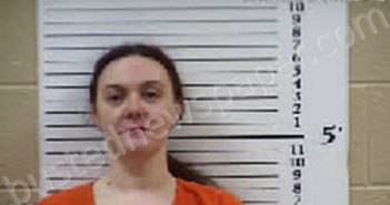 POTTS, KATELYN MICHELE | 2025-02-20 22:03:00 Cherokee County, North Carolina Booking