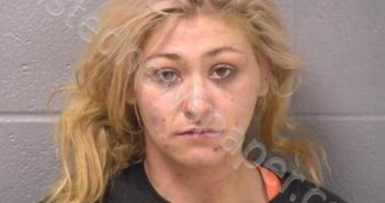 BRYANT, HALEY L | 2025-02-20 00:34:00 Will County, Illinois Booking