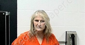 WALLERSTEDT, SUSAN A | 2025-02-21 22:54:00 Fulton County, Arkansas Booking