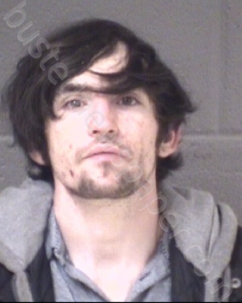 HICKS, BRANDON ALEXANDER #, Buncombe County, North Carolina - 2025-02-21