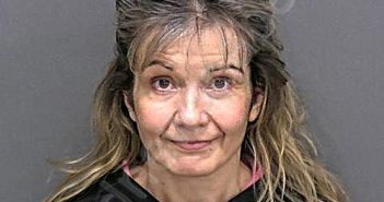 SHELLEY, TERESA KAY | 2025-02-21 17:49:20 Adams County, Indiana Booking
