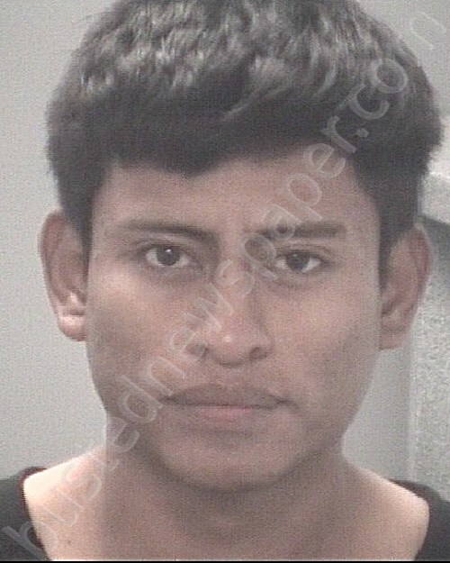 VENEGAS GARCIA, GUSTAVO #, Pasco County, Florida - 2025-02-22 20:42:00