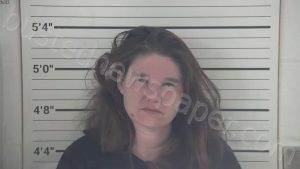 Smith, Erica Kay | 2025-02-22 01:11:00 Campbell County, Kentucky Booking