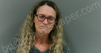 CONWAY, KAREN LYNN | 2025-02-23 06:46:00 Boone County, West Virginia Booking