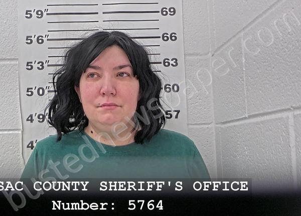 TOMKINSON, SHANNON M #, Massac County, Illinois - 2025-02-23 21:29:05