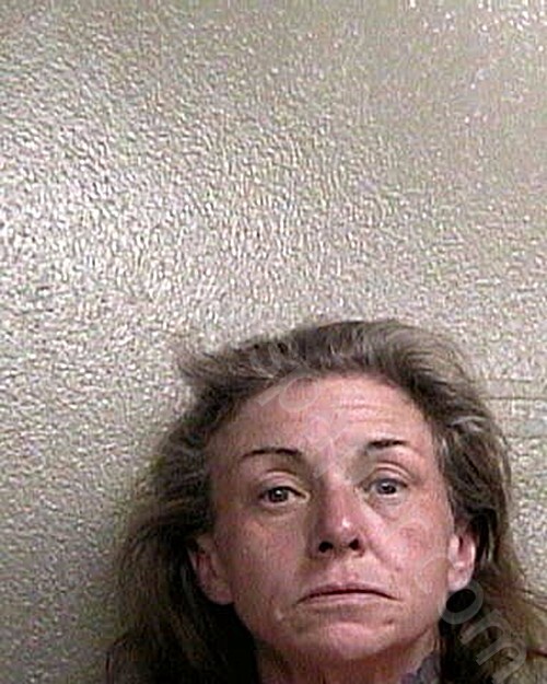 DIXON, ANGELA NICHOLE #, Taylor County, Florida - 2025-02-23 13:03:00