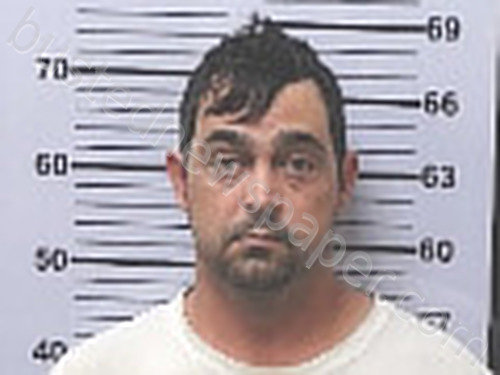 STOKES, JAMES MITCHELL #, Mobile County, Alabama - 2025-02-23