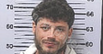 MIZELLE, <B>DALTON</B> <B>ERIC</B> #, Mobile County, Alabama - 2025-02-24
