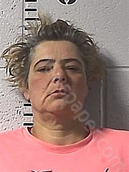 TREMAIN, MICHELLE #, Sharp County, Arkansas - 2025-02-24 19:40:00