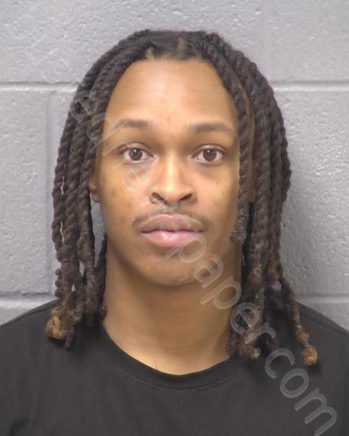 DARLING, DEVONTE L #, Will County, Illinois - 2025-02-25 12:55:00
