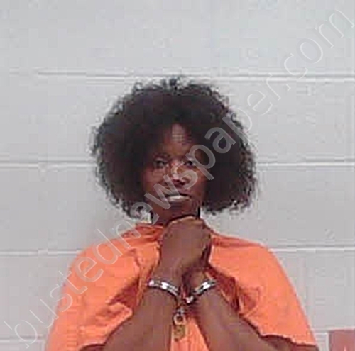 TURNER, TIFFANY NICOLE #, Haywood County, Tennessee - 2025-02-25 23:46:00