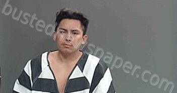 GUZMAN DEL CID, WILLIAMS NOAL | 2025-02-26 09:59:00 Cameron Parish, Louisiana Booking