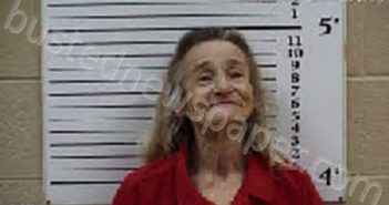 NICHOLS, MARYSUE BROWN | 2025-02-26 17:51:00 Cherokee County, North Carolina Booking